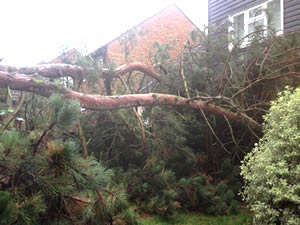 storm damage and insurance work in kent